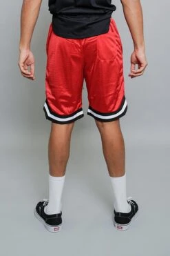 Essential Pro Basketball Shorts 35 Essential Pro Basketball Shorts -Victorious JS17 RED 3