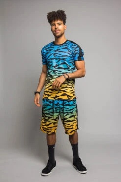 Dip Dye Gradient Tiger Set -Victorious ST400 BLU 1