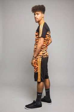 Reflective Tiger Striped Set 13 Reflective Tiger Striped Set -Victorious ST401 NOR 2