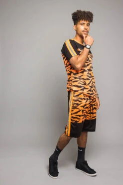 Reflective Tiger Striped Set 15 Reflective Tiger Striped Set -Victorious ST401 NOR 4