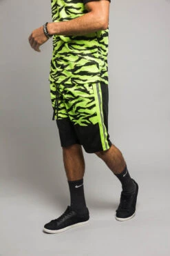 Reflective Tiger Striped Set 11 Reflective Tiger Striped Set -Victorious ST401 NYL 5